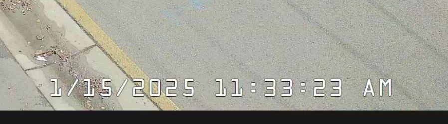 1 Live View.jpg