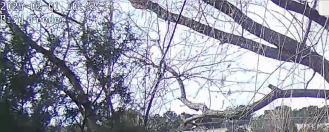 Screenshot 2025-02-01 104235.png